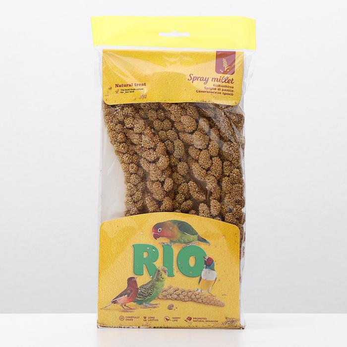 Лакомство RIO сенегальское просо в колосьях, для всех видов птиц, 100 г