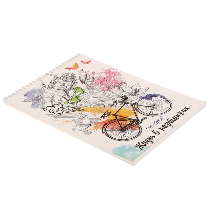 Скетчбук на гребне "Жизнь в картинках", А4, 40 листов