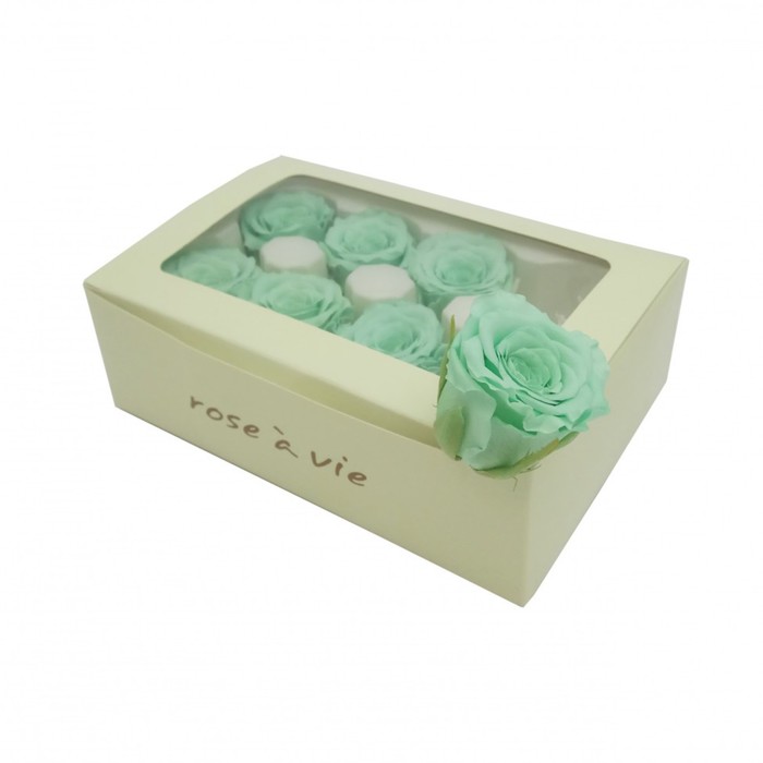 Роза открытая, 4 х 4 х 5 см, фисташковая