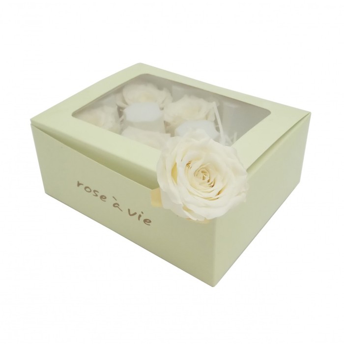 Роза открытая, 4.5 х 4.5 х 5.5 см, белая