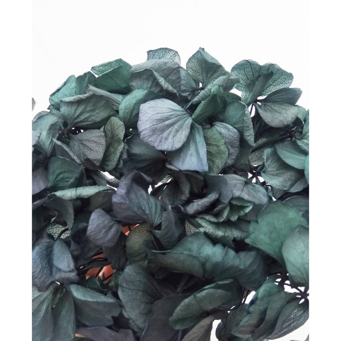 Ветка гортензии, 12.5 х 12.5 х 11 см, зеленовато-фиолетовая