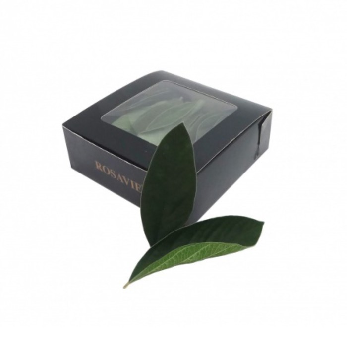 Листья вельвета зеленые, набор 100 шт