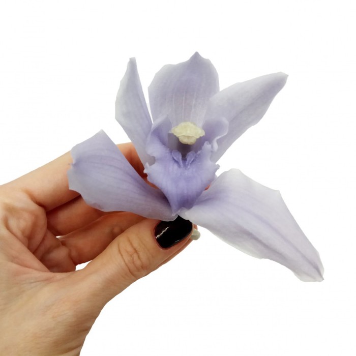 Бутон орхидеи "Цумбидиум" лиловый, 10 х 10 х 8 см