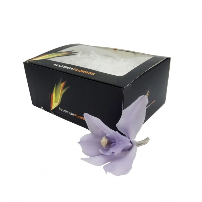 Бутон орхидеи "Цумбидиум" лиловый, 10 х 10 х 8 см