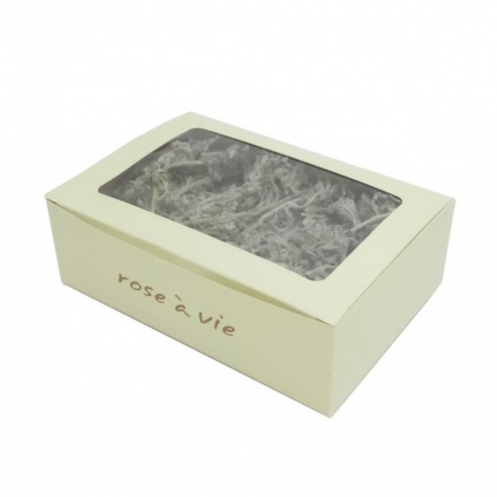 Цинерария, 100 г