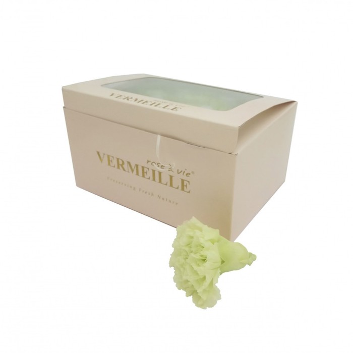 Гвоздика, 5 х 5 х 5.5 см, зеленый лайм