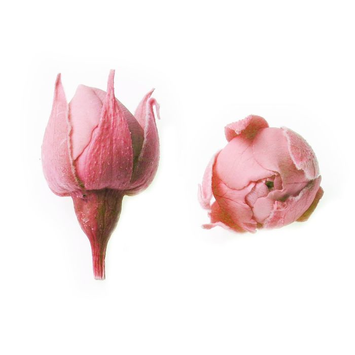 Роза, малый бутон, 2 х 2 х 1.5 см, розовый