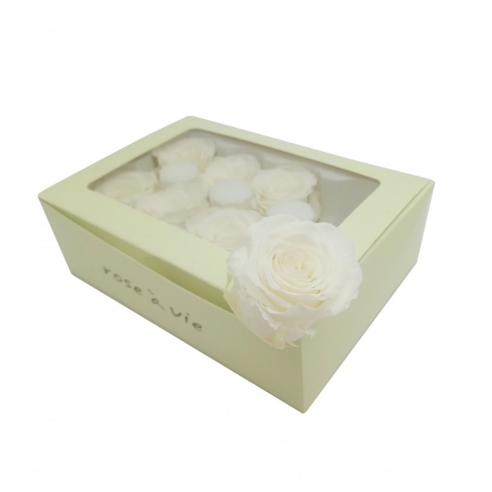 Роза открытая, 4 х 4 х 5 см, белая