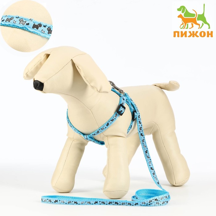

Комплект "Собачки", поводок 120 х 1 см, ОГ 23-35 см, голубой
