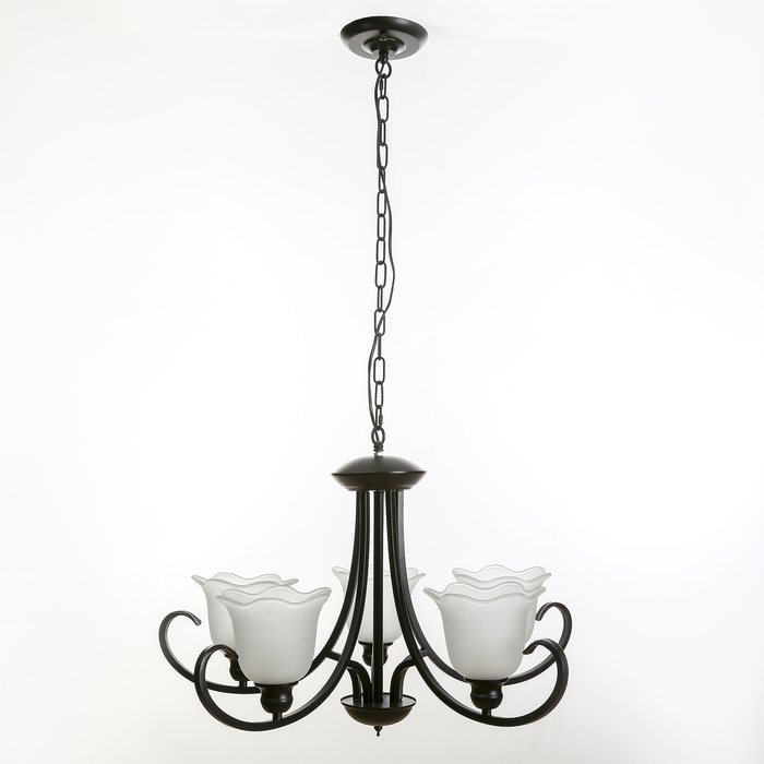 Люстра 6648/5 "Хоровод" E27 40W 67х67х50 см