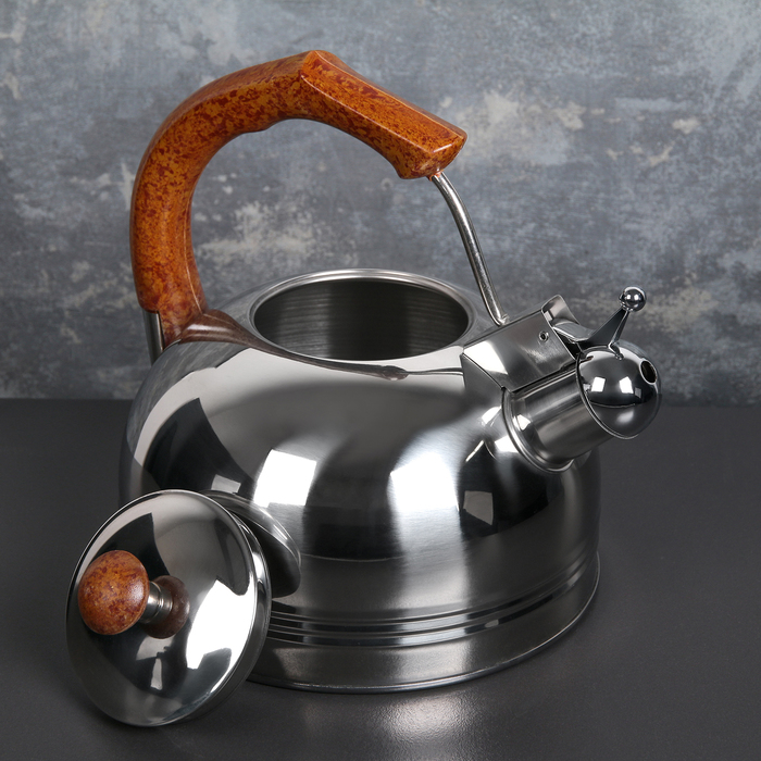 Чайник со свистком "Каштан", макс. объем 2,6 л, фиксированная ручка