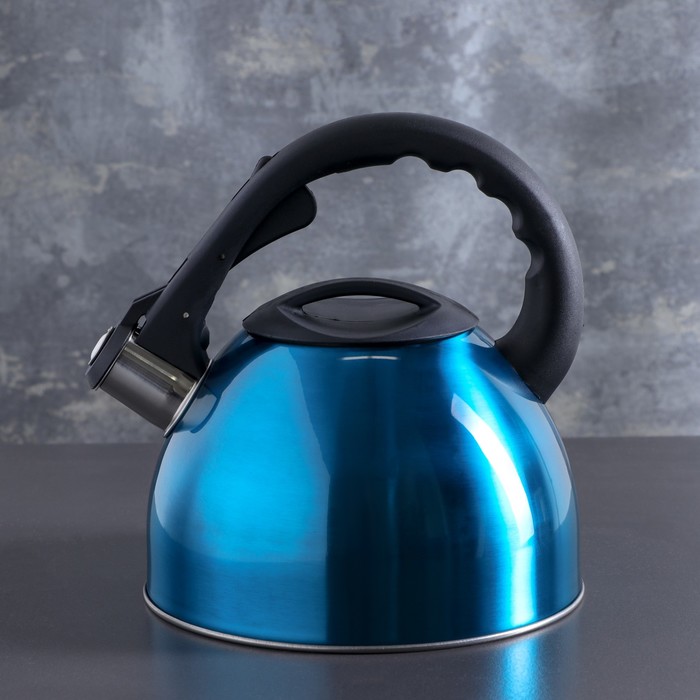 Чайник "Модерн", макс. объем 2,5 л, со свистком, фиксированная ручка, цвет голубой