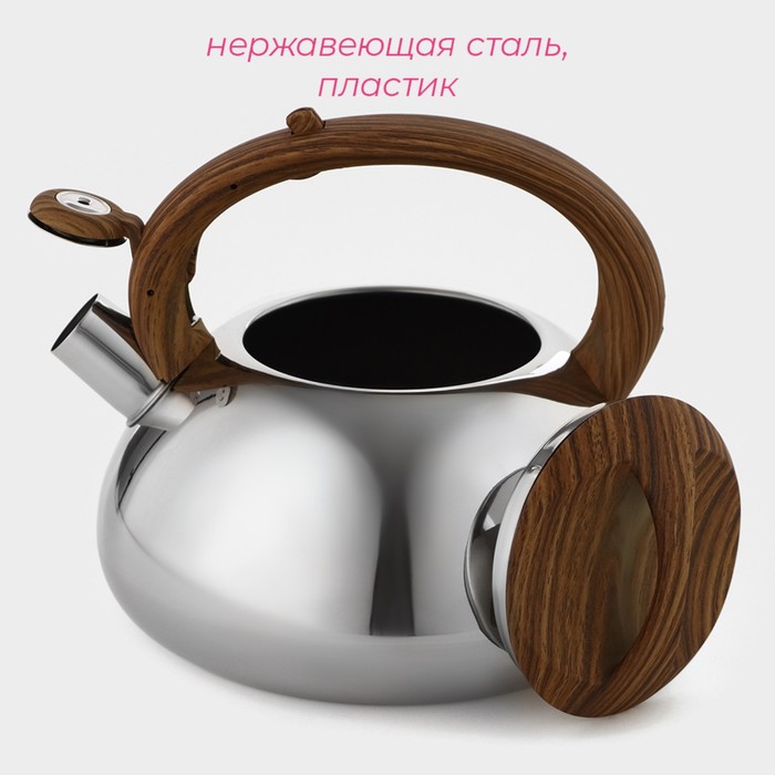 Чайник со свистком 2,8 л "Квант", фиксированная ручка soft-touch, цвет коричневый