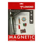Бумага с магнитным слоем А4 для струйной печати LOMOND, 620 г/м², матовая, 2 листа (2020346)