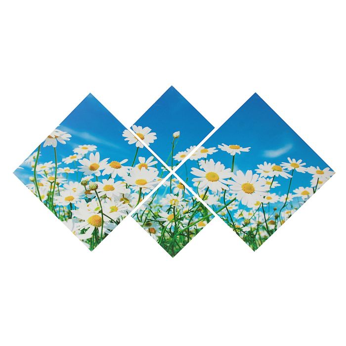Модульная картина на подрамнике "Ромашки"
