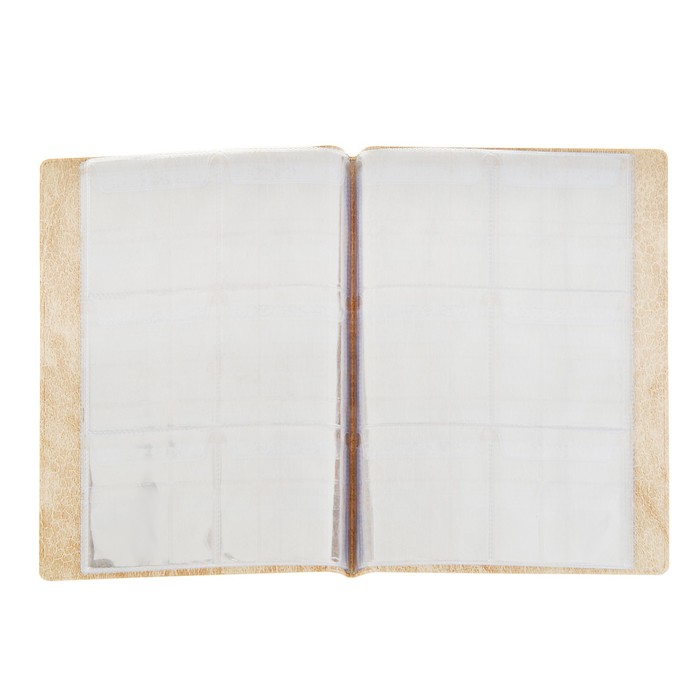 Альбом для монет 125х185мм "Комби" на 102 монеты: 2 листа на 12 ячеек 53х57мм, 1 лист на 30 ячеек 35х35мм, 1 лист на 48 ячеек 26х29мм, обложка иск.кожа, микс