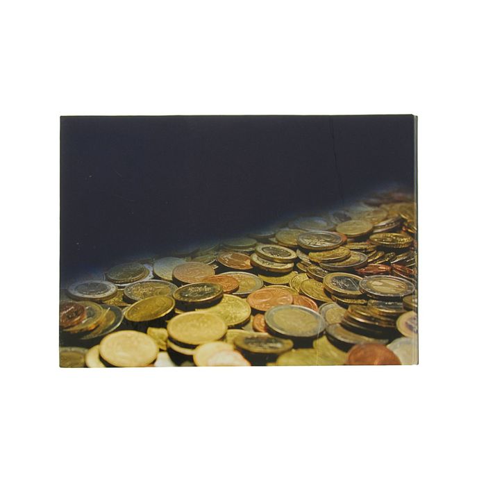 Альбом для монет горизонтальный на кольцах 230*170 мм, 5 листов по 24 монеты ячейки 34х39 мм + 5 листов по 12 монет ячейки 48х52 мм, ламинированный картон