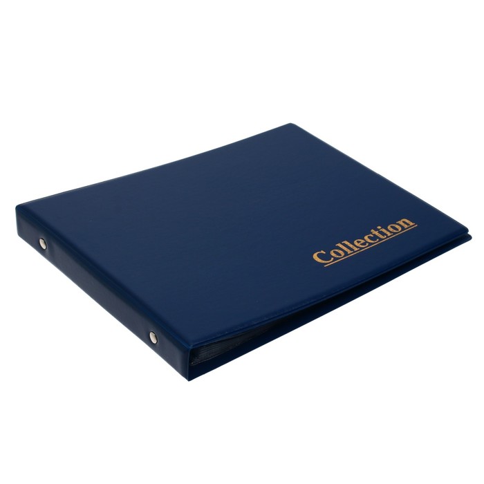 Альбом для Бон горизонтальный на кольцах 230х170мм, 10 листов на 2 боны, обложка ПВХ, микс