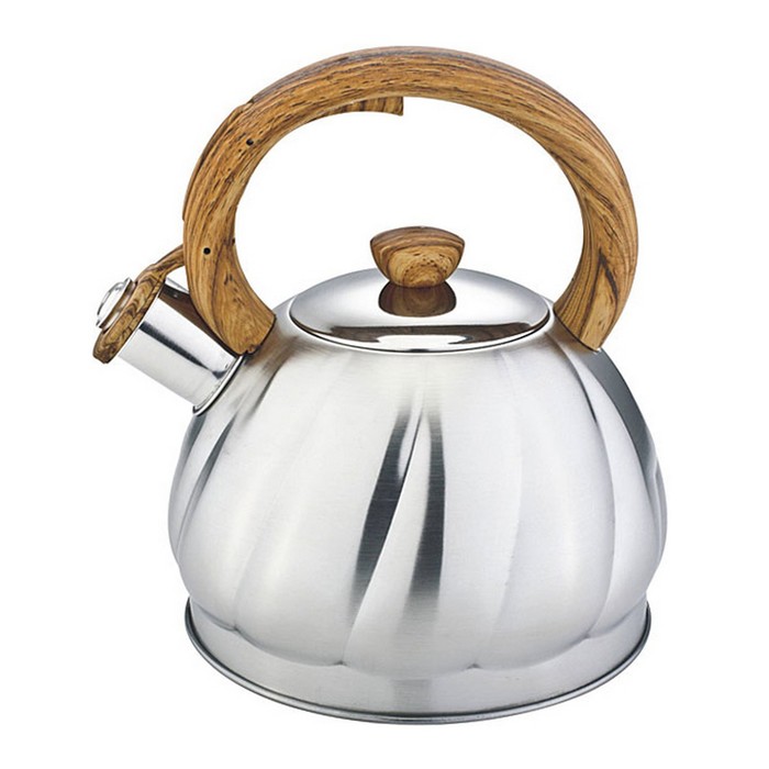 Чайник металлический 2л Premium