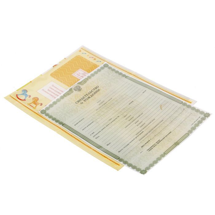 Свидетельство о рождении "Лошадки"