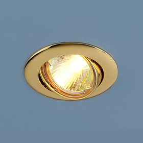

Светильник Elektrostandard MR16 GU5.3 104S золото