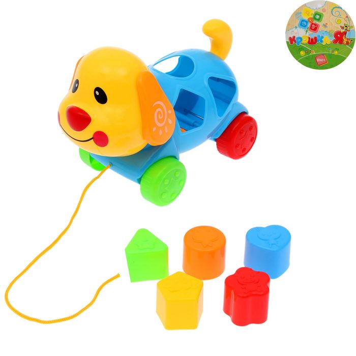 Каталка «Пёс Дружок» на верёвочке с сортером, цвета МИКС