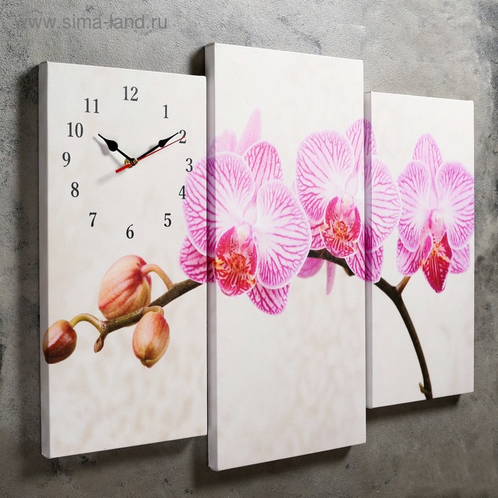 Часы настенные, модульные, серия: Цветы, Розовые цветки орхидеи, 60х80 см часы настенные серия цветы розовые орхидеи с узором 25 х 35 см