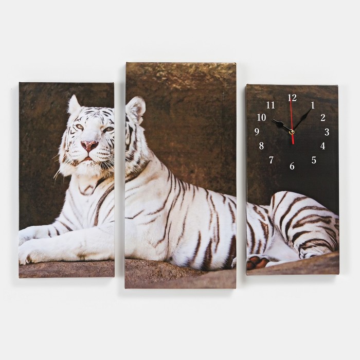 Часы настенные, модульные, серия: Животный мир, Белый тигр, 60х80 см часы настенные модульные серия животный мир львы 60х80 см