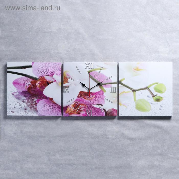 фото Часы настенные, модульные, серия: цветы, "орхидеи", 35х110 см, микс сюжет