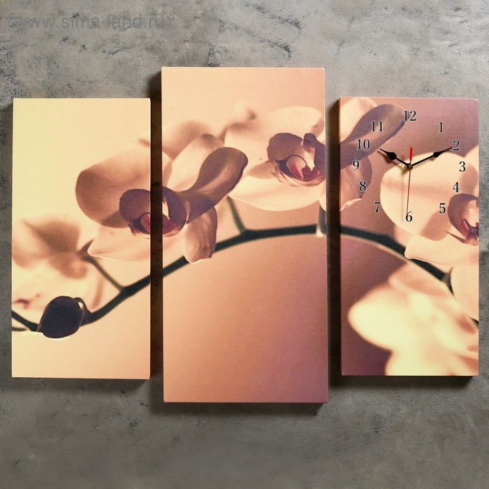 Часы настенные, модульные, серия: Цветы, Веточка орхидеи, 60х80 см