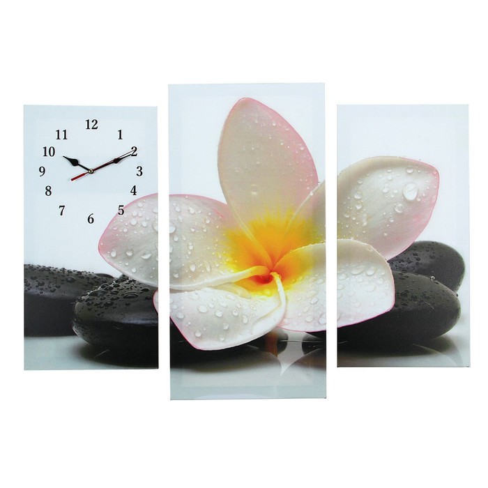 Часы настенные, модульные, серия: Цветы, Цветок на камнях, 60х80 см