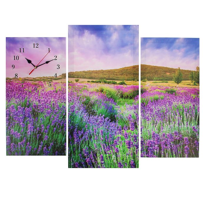 Часы настенные модульные «Цветочное поле», 60 × 80 см