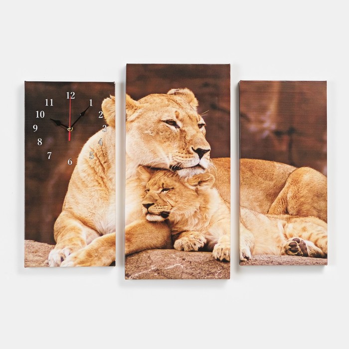 Часы настенные, модульные, серия: Животный мир Львы, 60х80 см
