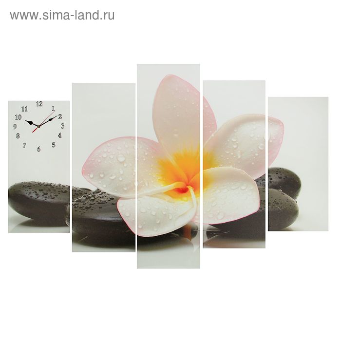 Часы настенные, модульные, серия: Цветы, Цветок на камне, 80х140 см часы настенные модульные серия цветы цветок на камнях 60х80 см