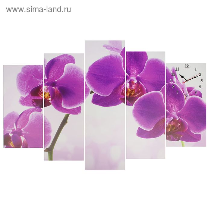 Часы настенные, модульные, серия: Цветы, Фиолетовые орхидеи, 80х140 см