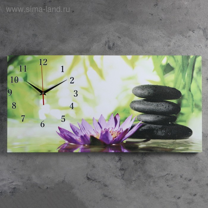 Часы-картина настенные, на холсте, серия: Цветы, Цветы и камни, 40х76 см