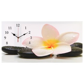 Часы настенные, на холсте, серия: Цветы, "Белый цветок на камнях", 40х76  см, микс