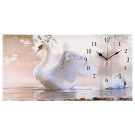 Часы настенные, на холсте, серия: Животный мир, "Белый лебедь", 40х76  см, микс