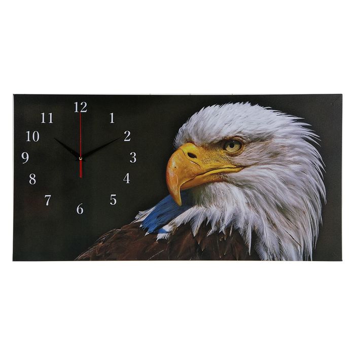 Часы настенные на холсте "Орел", 40х76 см микс