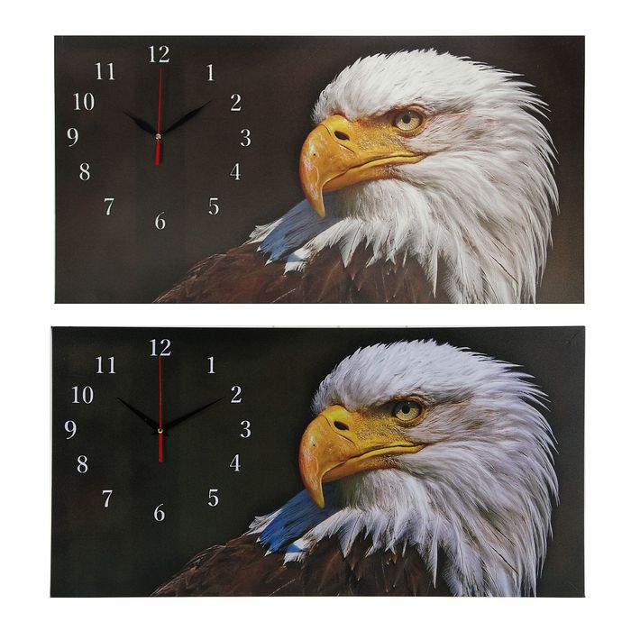 Часы настенные на холсте "Орел", 40х76 см микс