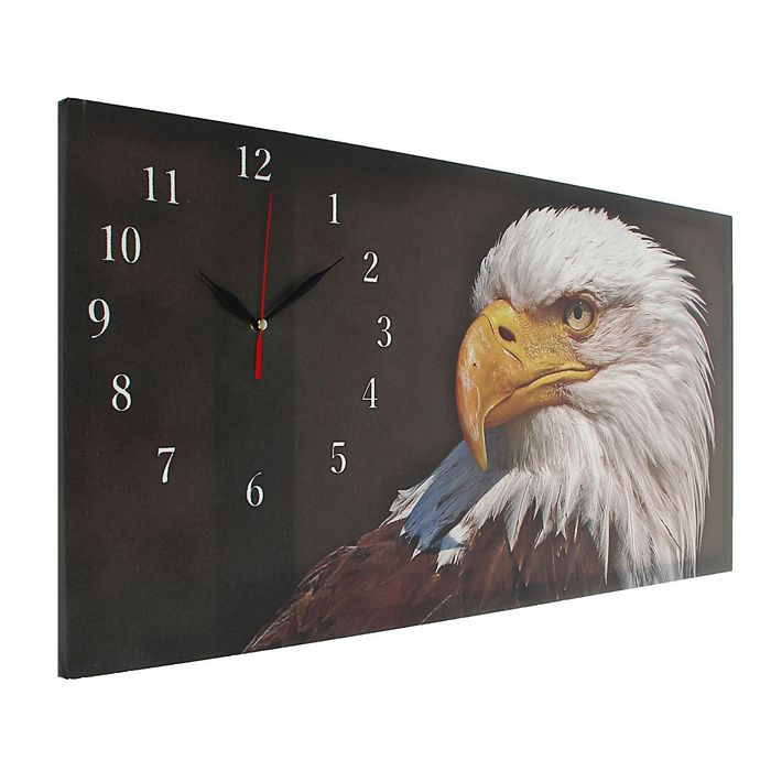 Часы настенные на холсте "Орел", 40х76 см микс