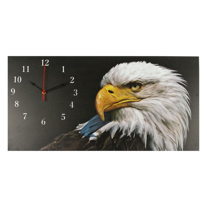 Часы настенные на холсте "Орел", 40х76 см микс