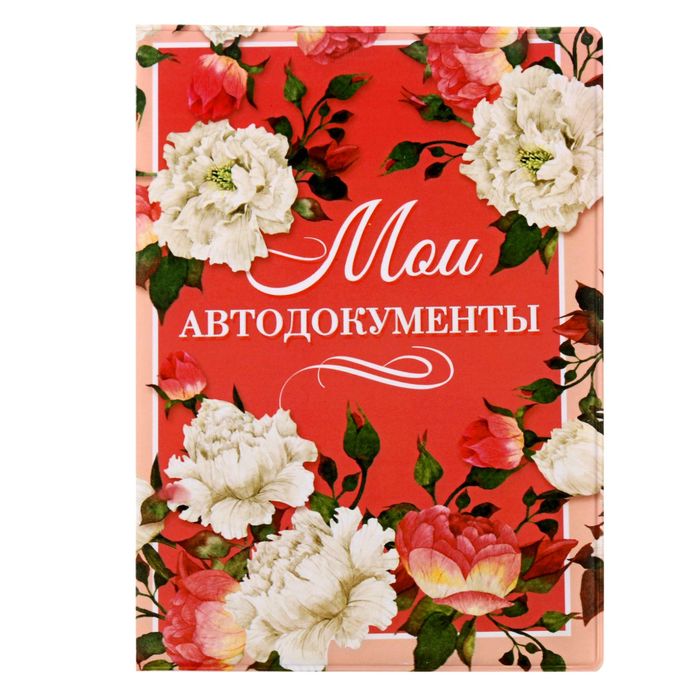 Обложка для автодокументов "Мои автодокументы"