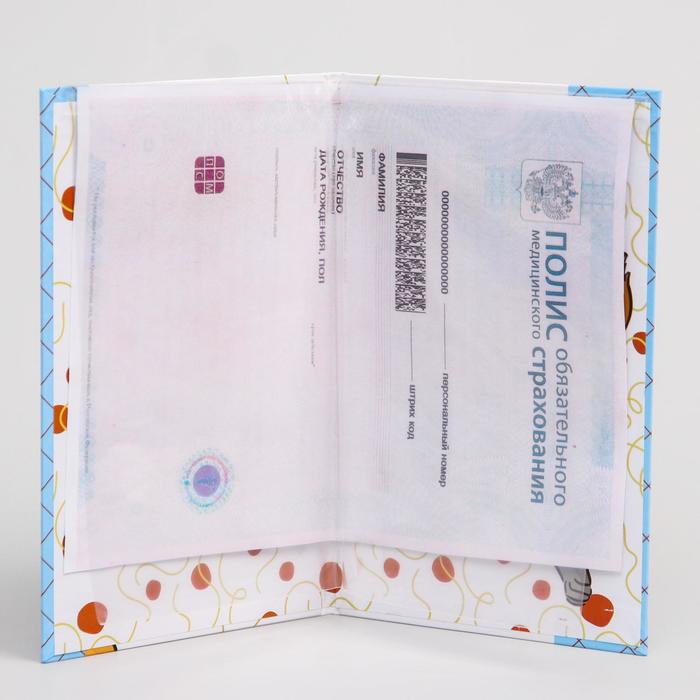 Папка для медицинского полиса "Медвежонок Винни", Дисней Беби, 17,5 х 10 см