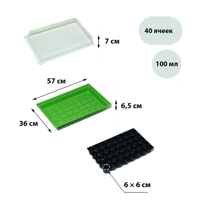 Мини-парник для рассады, 56.7 × 36 × 15.5 см, 1 вставка, 40 ячеек, Greengo