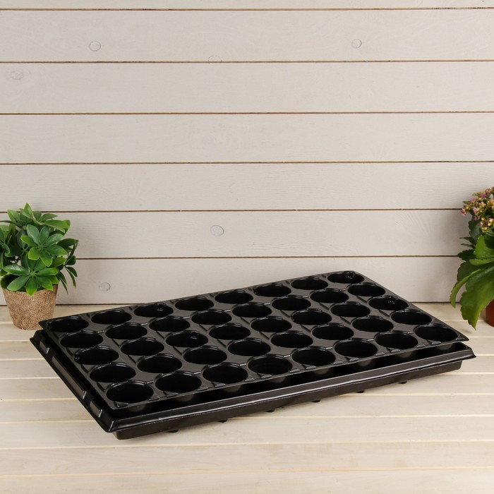 Кассета для рассады, 55 х 34 х 10 см, 40 ячеек по 120 мл, с поддоном