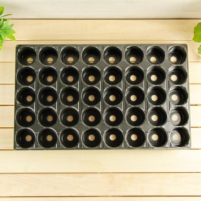 Кассета для рассады, 55 х 34 х 10 см, 40 ячеек по 120 мл, с поддоном