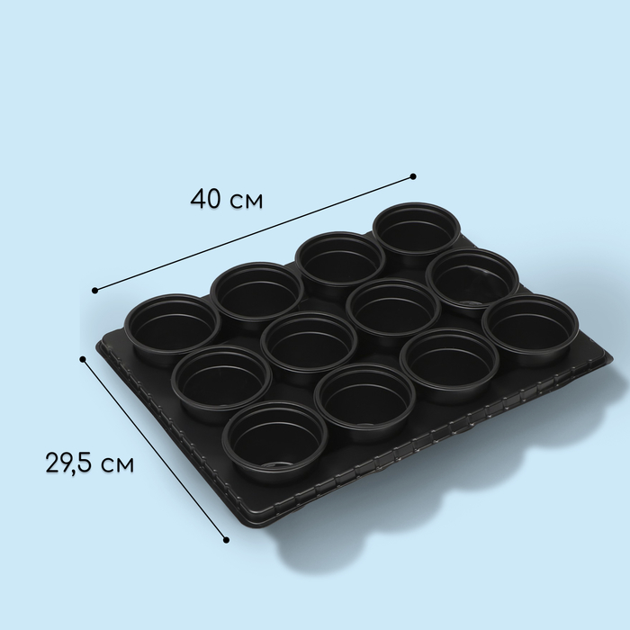 Набор для рассады: стаканы - 12 шт. по 520 мл, поддон 38 х 29 см