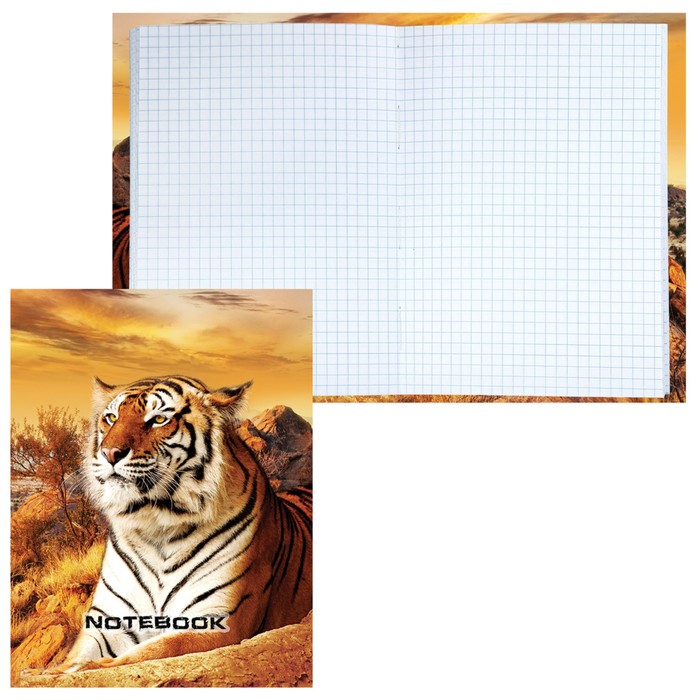 Блокнот А6, 80 листов в клетку, твердая обложка, ламинированный STAFF "Тигровый", 110x147 мм