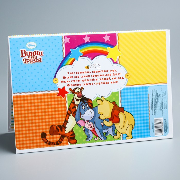 Папка для свидетельства о рождении А5 горизонтальная "Медвежонок Винни и его друзья"